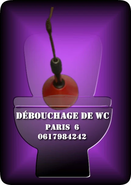 Débouchage de WC