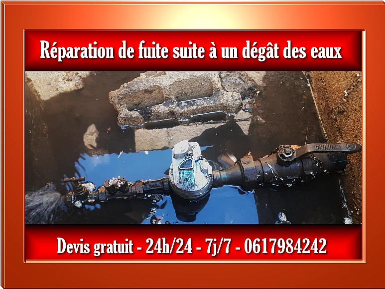 Réparation de fuite suite à un dégât des eaux